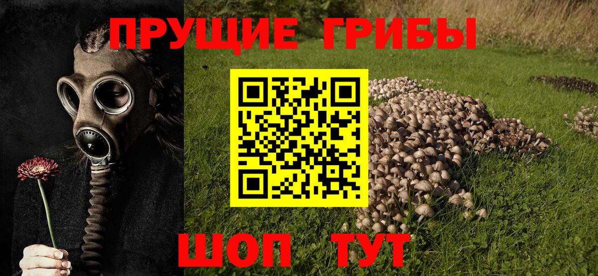 Гуково  дарнет шоп  Вход с VPN  Галлюциногенные грибы Psilocybine cubensis 